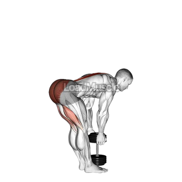 Dumbbell Stiff Leg Deadlift