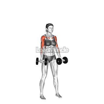 Dumbbell Curl to Press