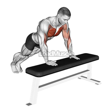 Incline Shoulder Tap