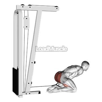 Cable Kneeling Pull Through