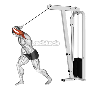 Cable One Arm High Pulley Overhead Tricep Extension