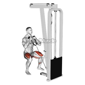 Cable Front Squat