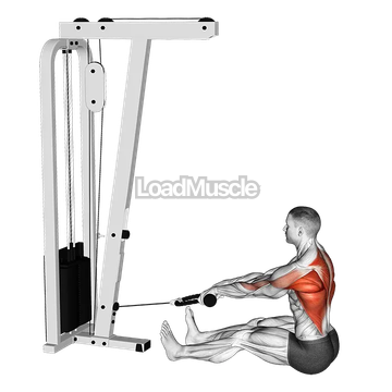 Cable Seated on Floor Row with Rope