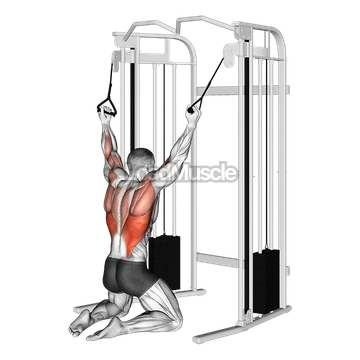 Cable Parallel Grip Lat Pulldown on Floor