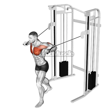 Cable Standing Chest Press