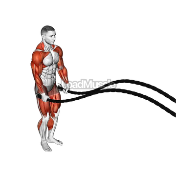 Battling Ropes Jumping Jack