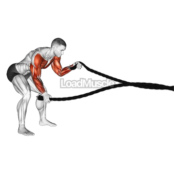 Battling Ropes Low Waves