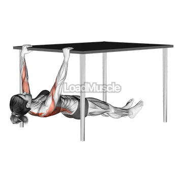 Inverted Row under Table