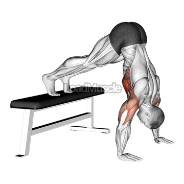 Pike Push up (on Bench)