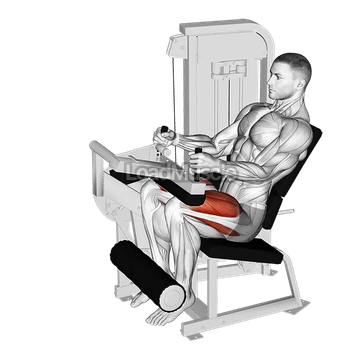 Lever Seated Leg Extension
