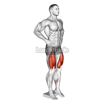 Narrow Squat from Deficit
