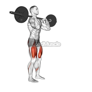 Barbell Front Rack Lunge