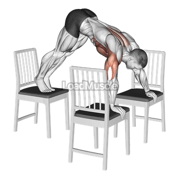 Pike Push up (between Chairs)