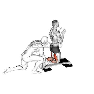 Assisted Inverse Leg Curl