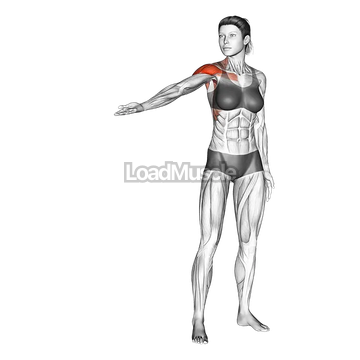 Standing Shoulder Circling