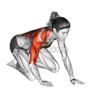 Kneeling One Arm Arm Reach Roll Lift