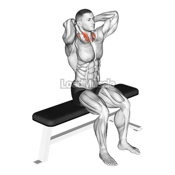 Seated Flexion And Extension Neck