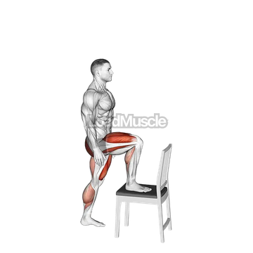 Step up on Chair