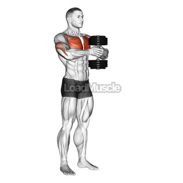 Dumbbell Svend Press