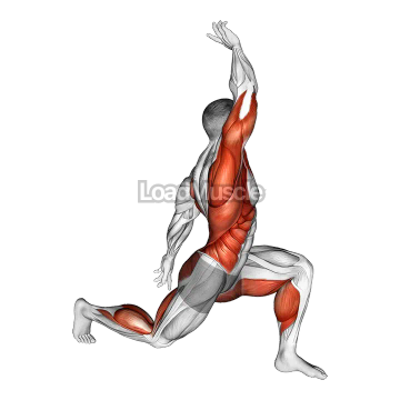 Warming-up in Lunge (two)