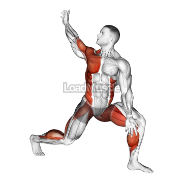 Warming-up in Lunge (three)