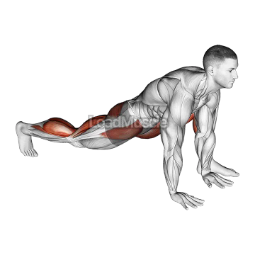 Warming-up in Lunge (four)