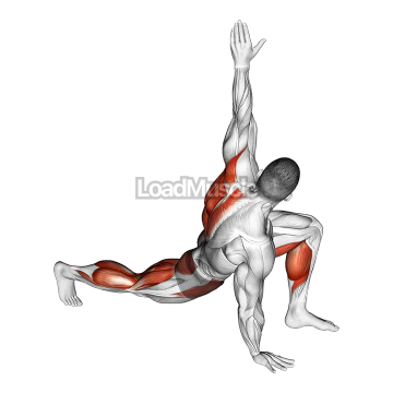 Warming-up in Lunge (five)