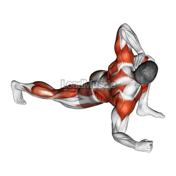 Warming-up in Lunge (seven)