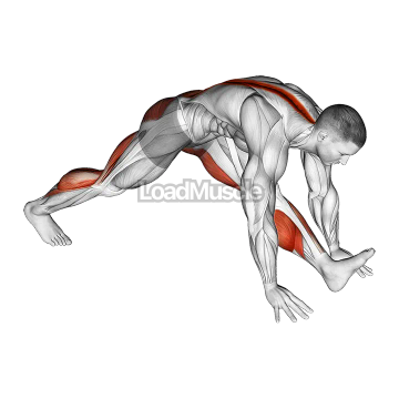 Front Hamstring Stretch