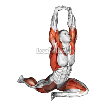Lying Leg Tuck Hip Stretch wth Overhead Hands