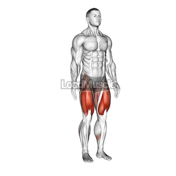 Alternate Heel Touch Side Kick Squat