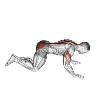 Kneeling Cobra Push up