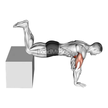 Decline Kneeling Push Up on Box