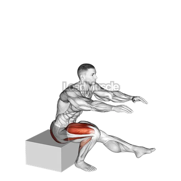 Single Leg Low Box Squat