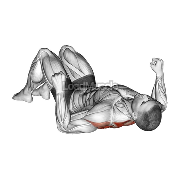 Lying Floor Row with Bent Knee