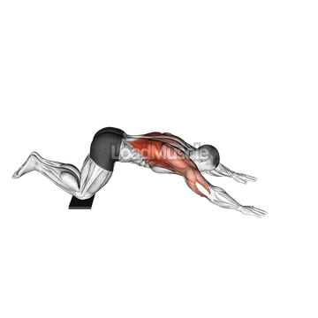 Sliding Floor Pulldown on Towel