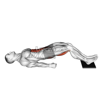 Sliding Floor Bridge Curl on Towel