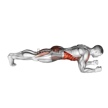 Front Plank with Leg Lift