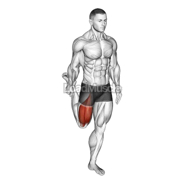Standing Balance Quadriceps Stretch