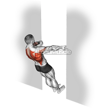 Bodyweight Row in Doorway