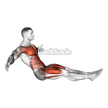 Crunchy Frog on Floor