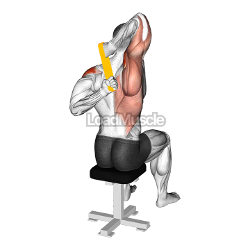 Resistance Band Shoulder Stretch Behind the Back
