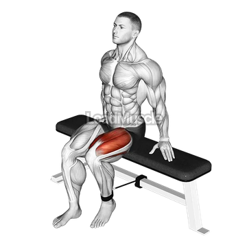 Band Seated Leg Extension