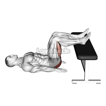 Glute Bridge Two Legs on Bench