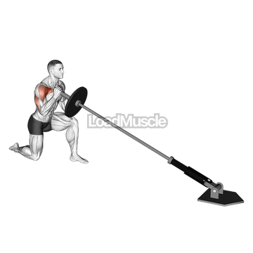 Landmine Kneeling One Arm Shoulder Press