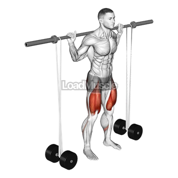 Barbell Banded Squat