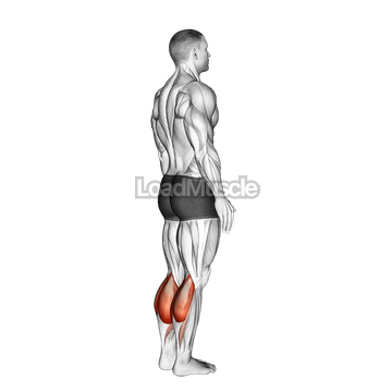 Bodyweight Standing Pulse Calf Raise