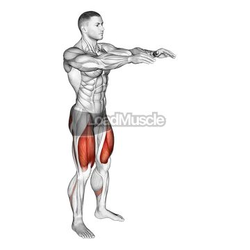 Bodyweight Pulse Squat