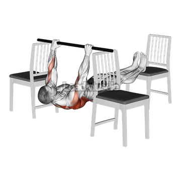 Elevanted Inverted Row between 3 Chairs