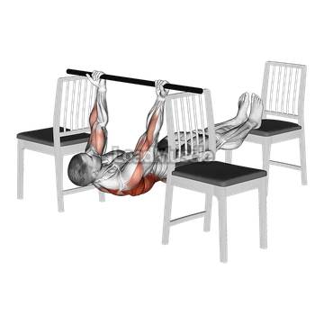 Elevanted Inverted Underhand Grip Row between 3 Chairs